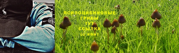 мдма Богданович