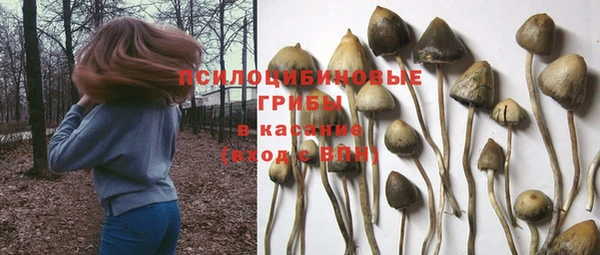 дурь Богородск