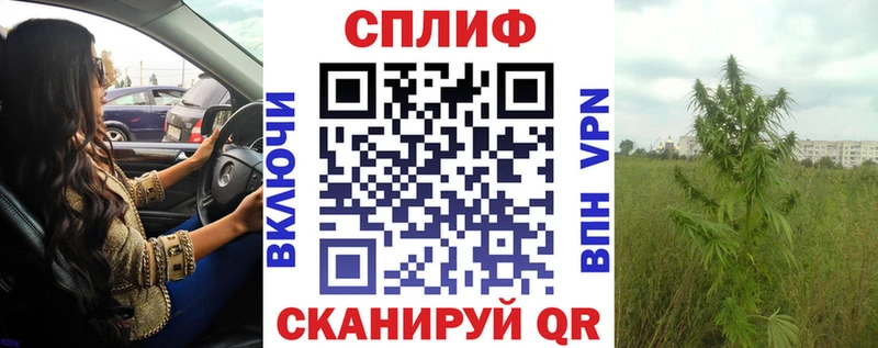 мега ссылки Северская Бошки Шишки планчик
